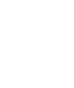 Gale Brewer for City Council. Again!